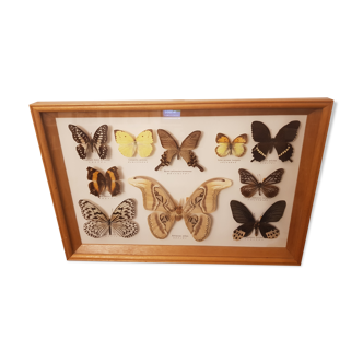 Butterfly frame