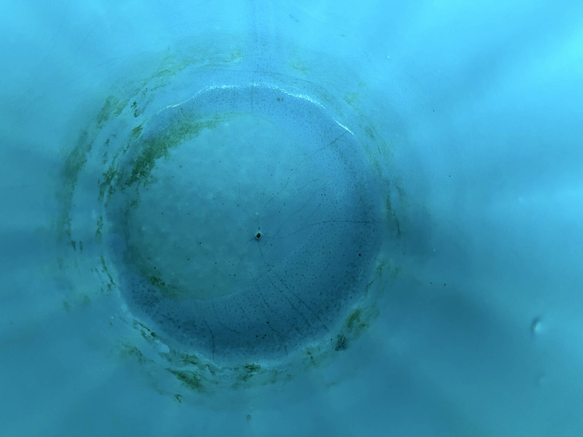 Cache-pot en céramique turquoise