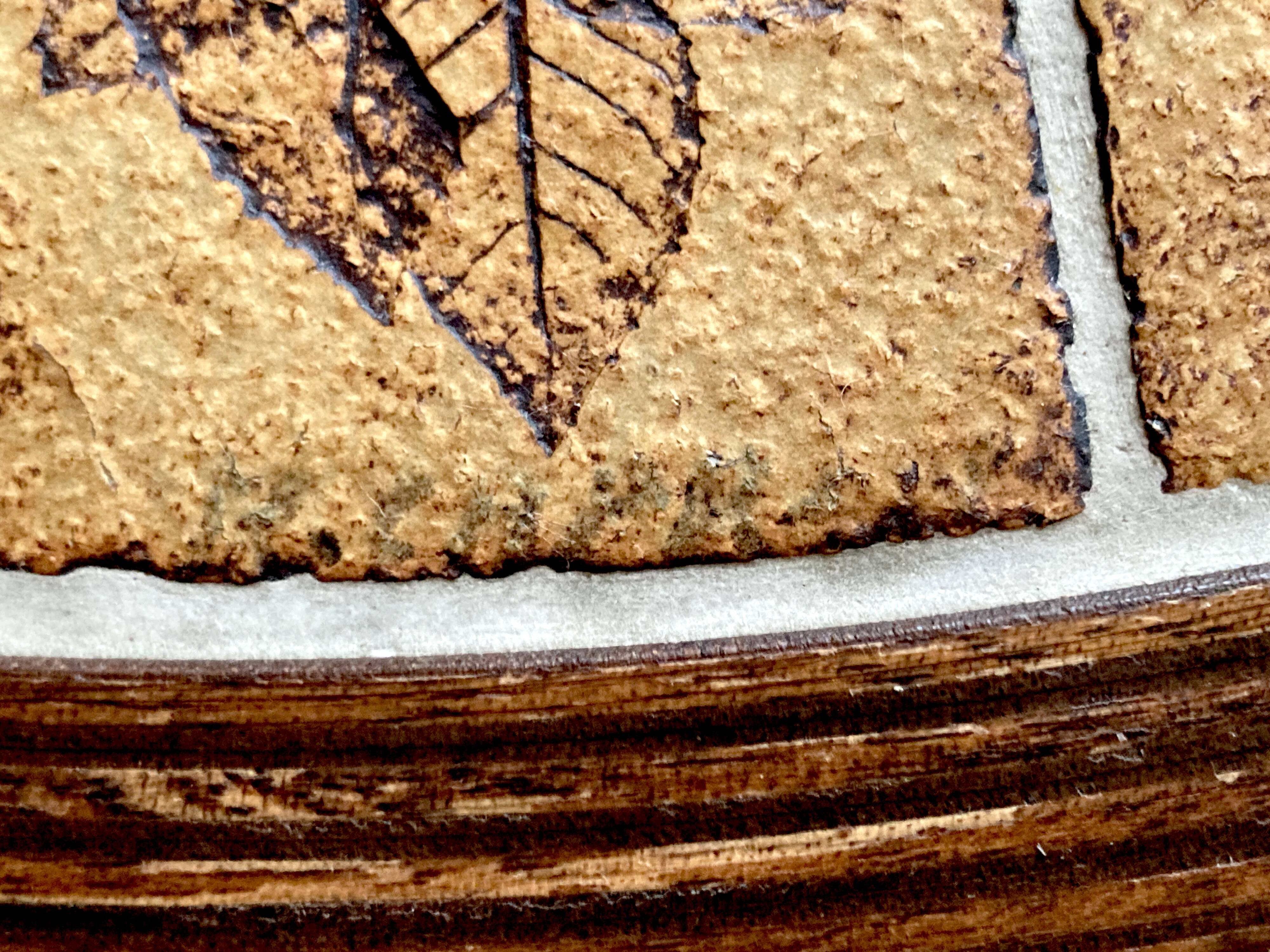 Round herbarium coffee table - Roger Capron