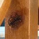 Vintage floor coat rack Stella from the 50s/60s.