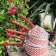 5 sitram “vichy” enameled saucepans
