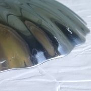 2 coupelles coquillage en inox