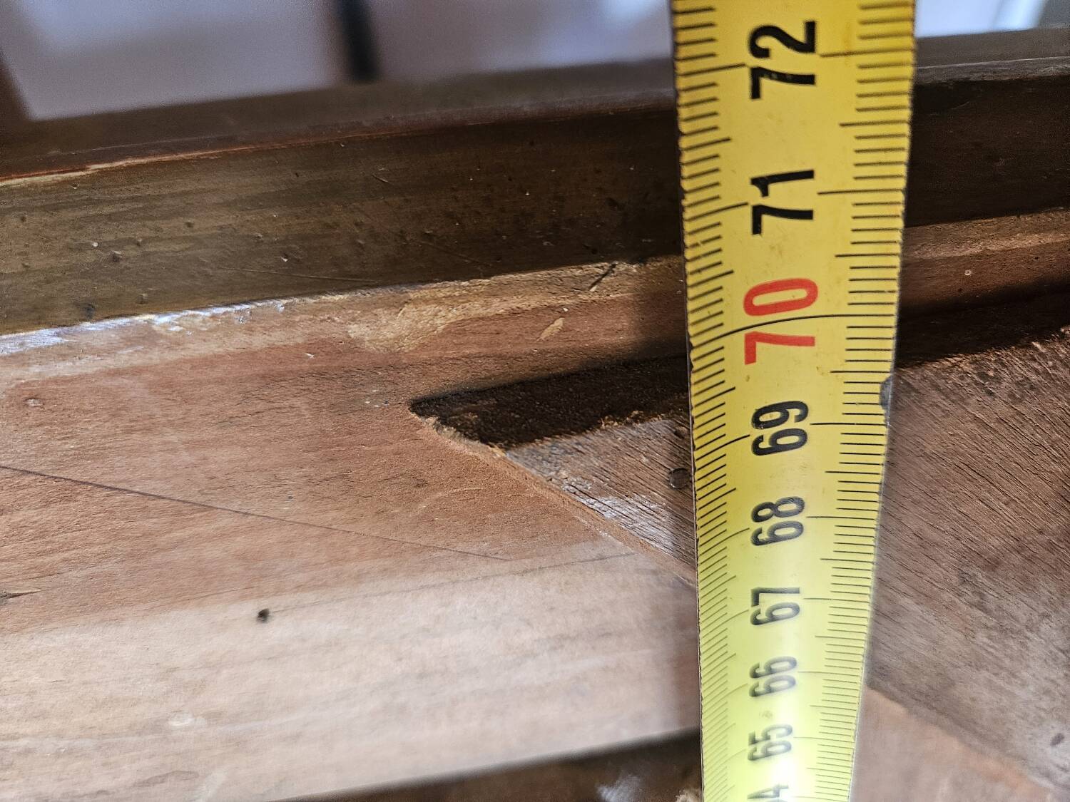 Oil portrait on canvas