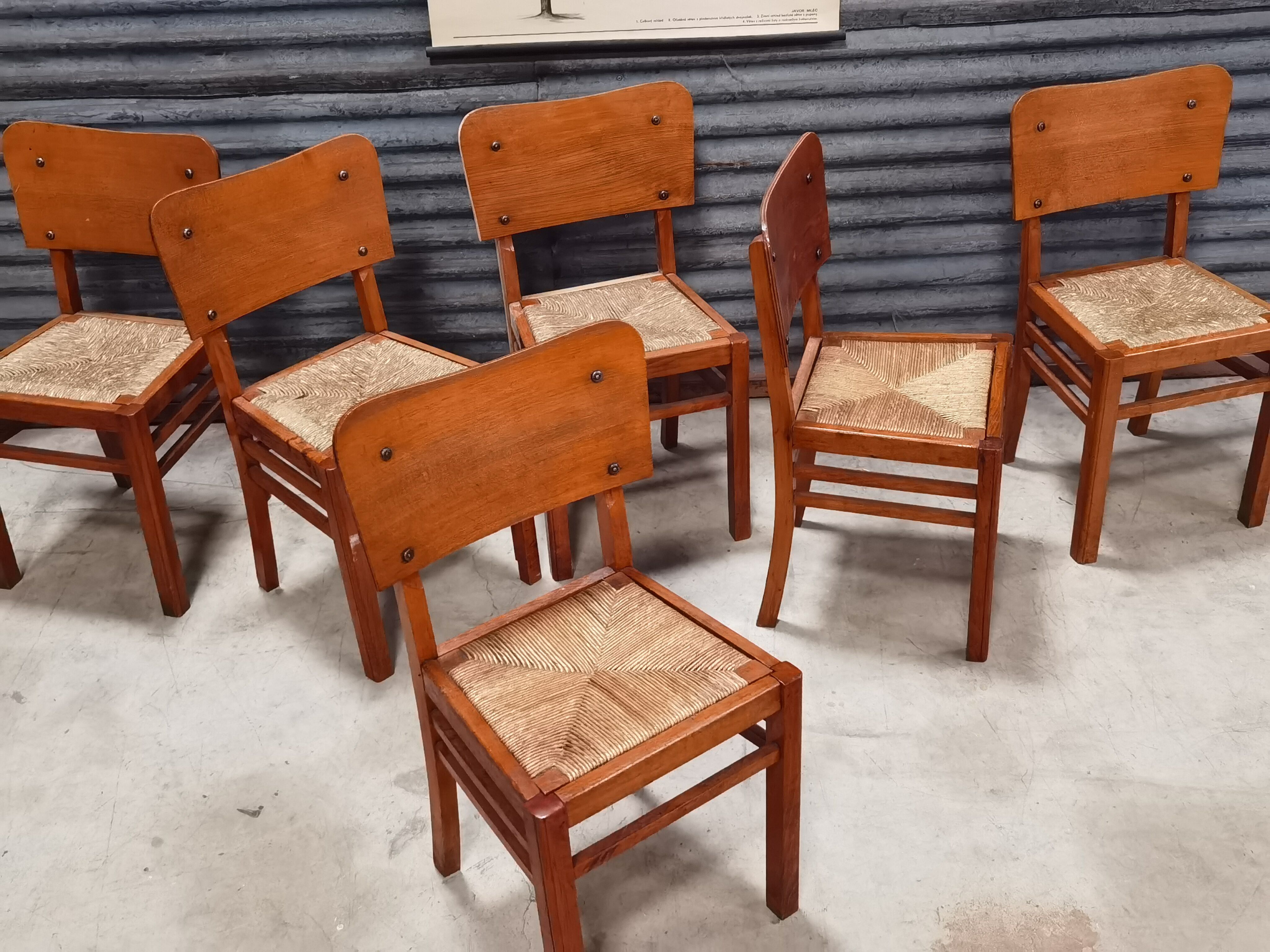 Set of 6 straw wood chairs 1950