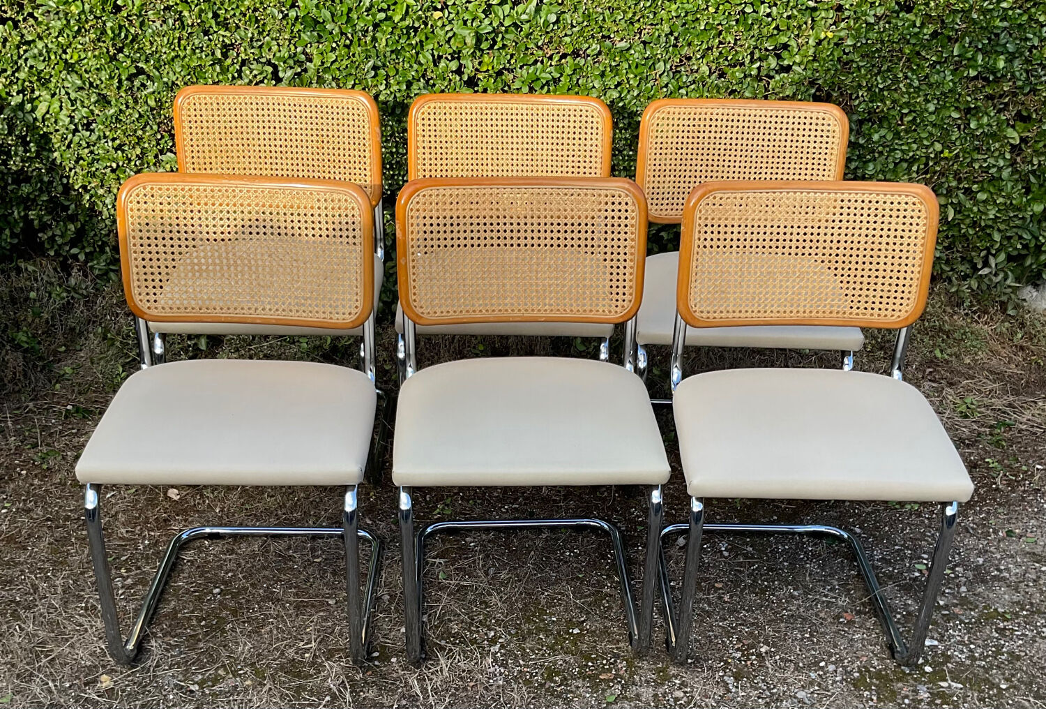 Series of 6 chairs Marcel Breuer Cesca B32