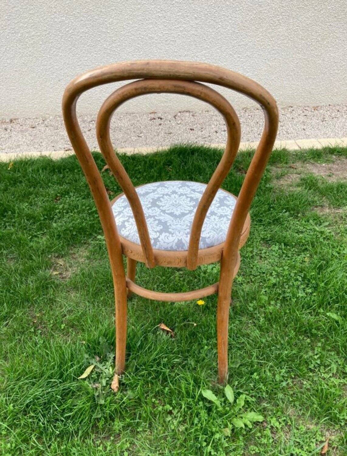 6 Bistro Chairs Fischel Thonet Bent Beech Damask Fabric