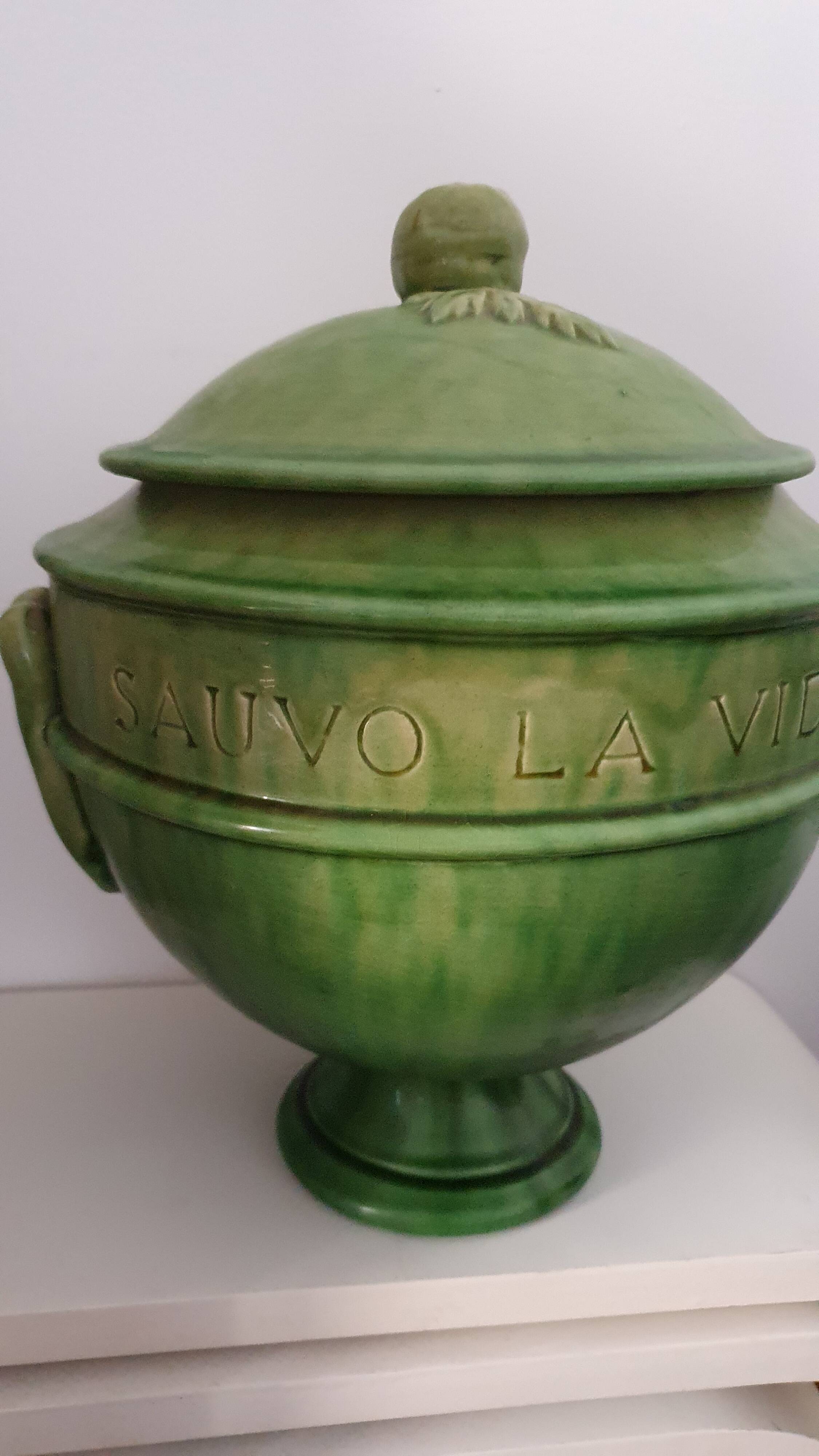 Biot varnished earth soup