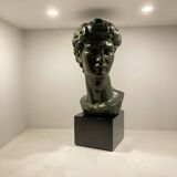 Bust of david