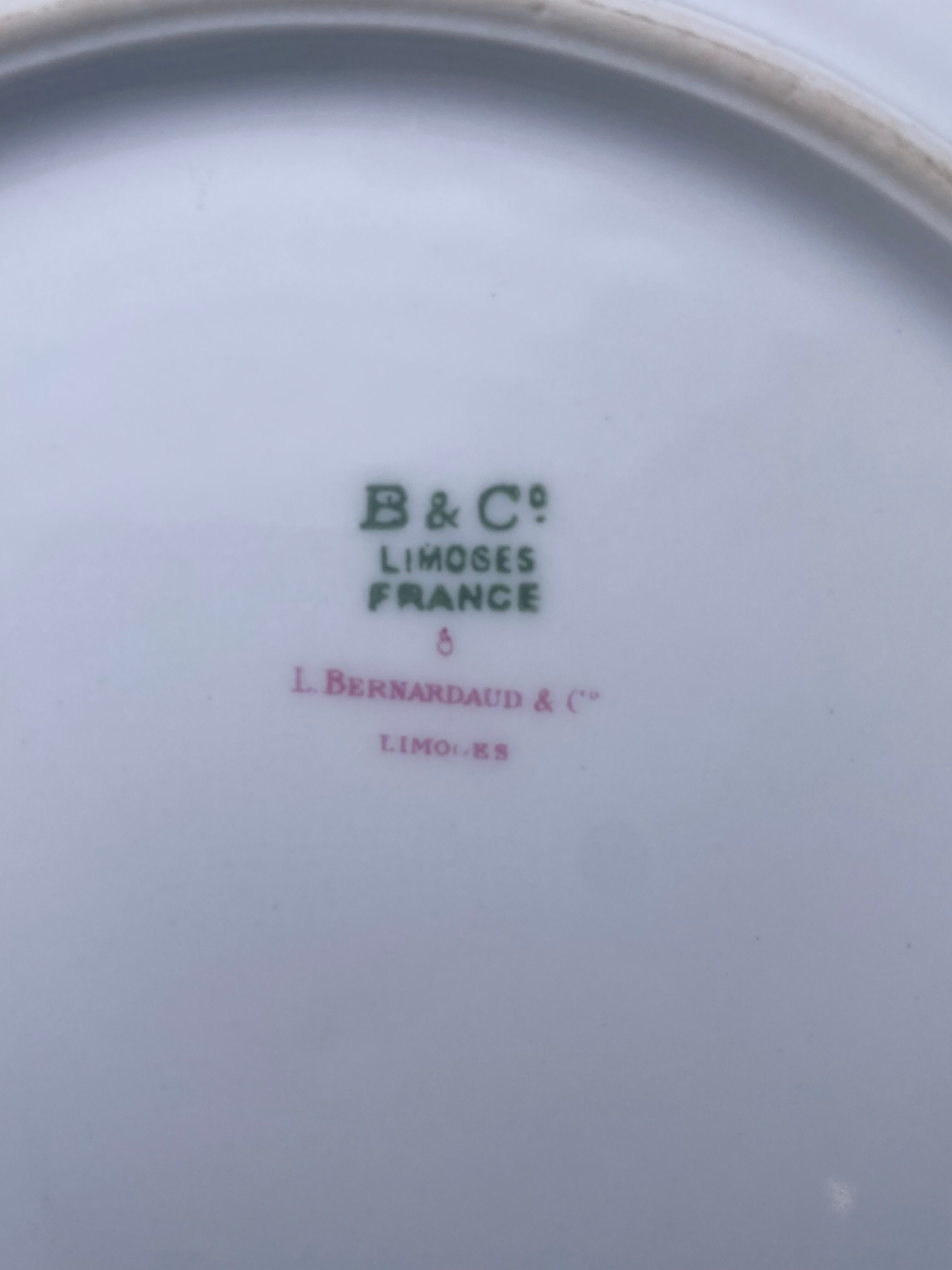 Service porcelain plates Limoges collab Bernardaud