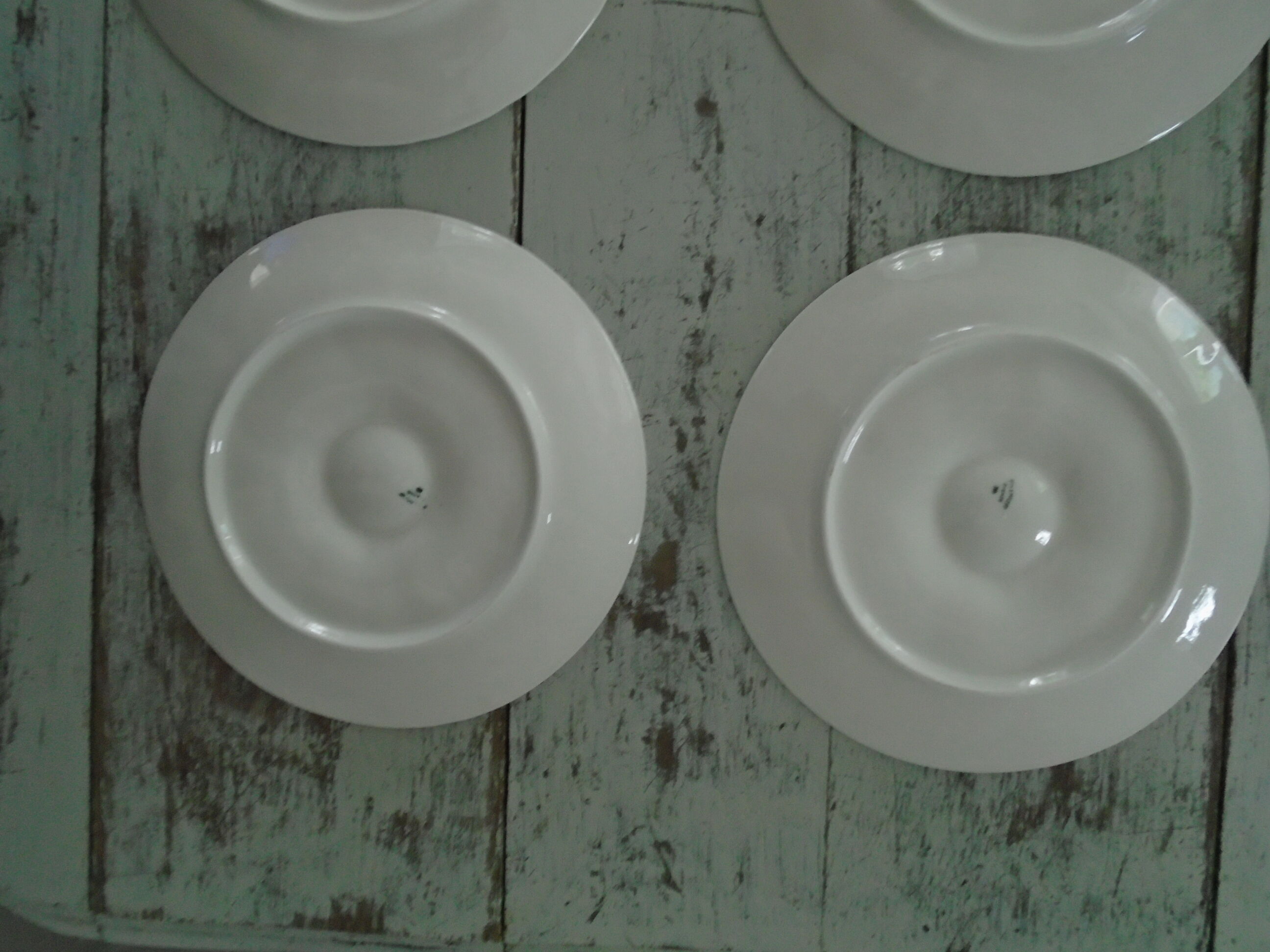 6 plates with white presentation oysters Pillivuyt France