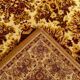 Oriental rug