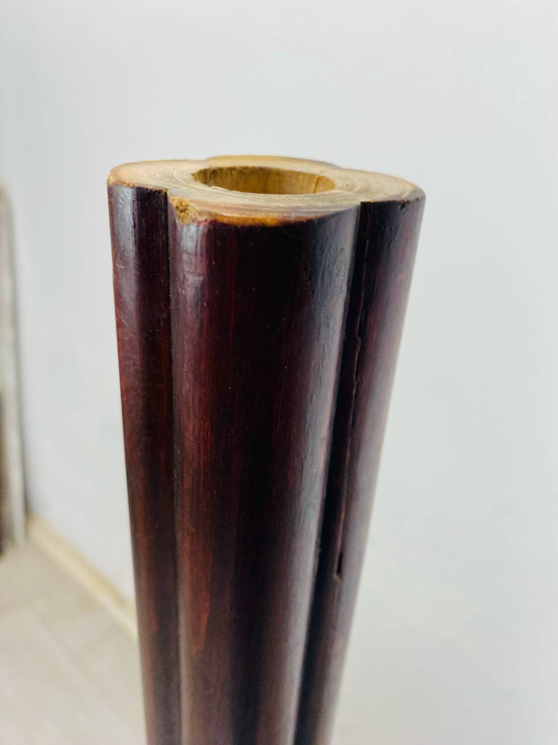 Portemanteau perroquet