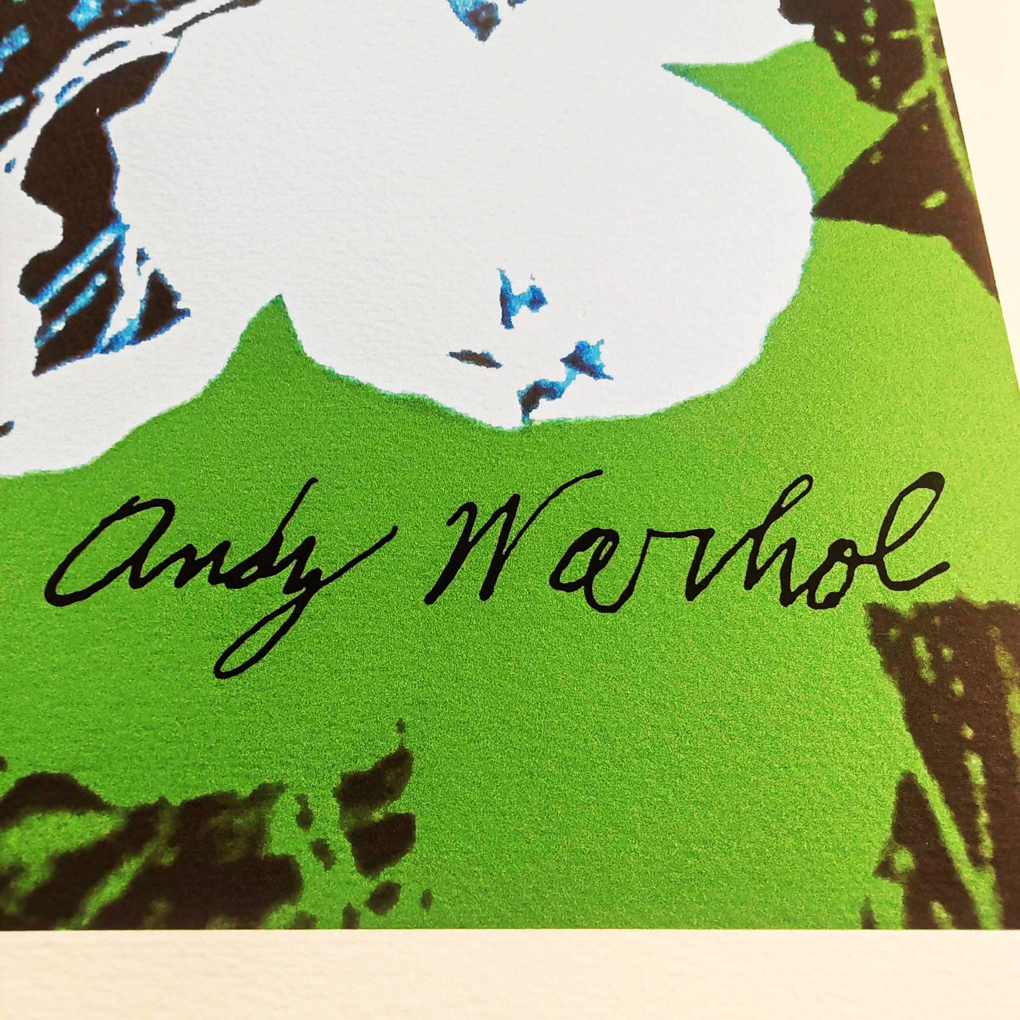 1980 Andy Warhol "Flowers" Limited Edition Lithograph by CMOA.