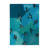 Spring swallows