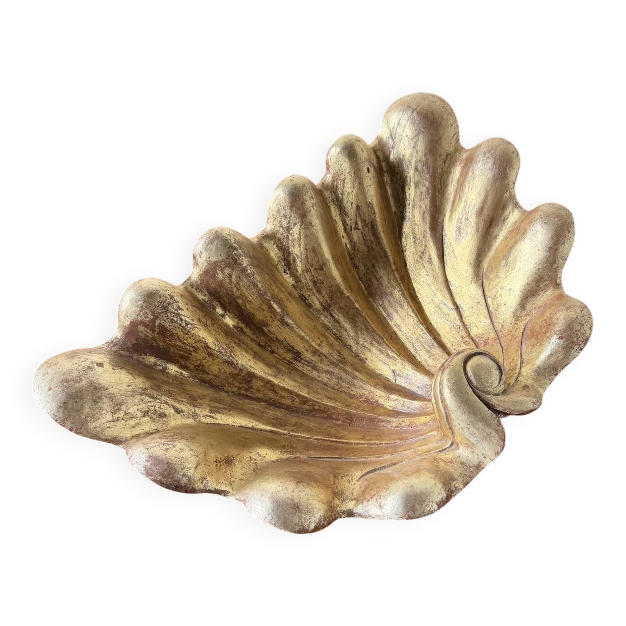 Immense wooden plate 1900 shell with golden patina