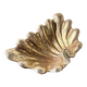 Immense wooden plate 1900 shell with golden patina