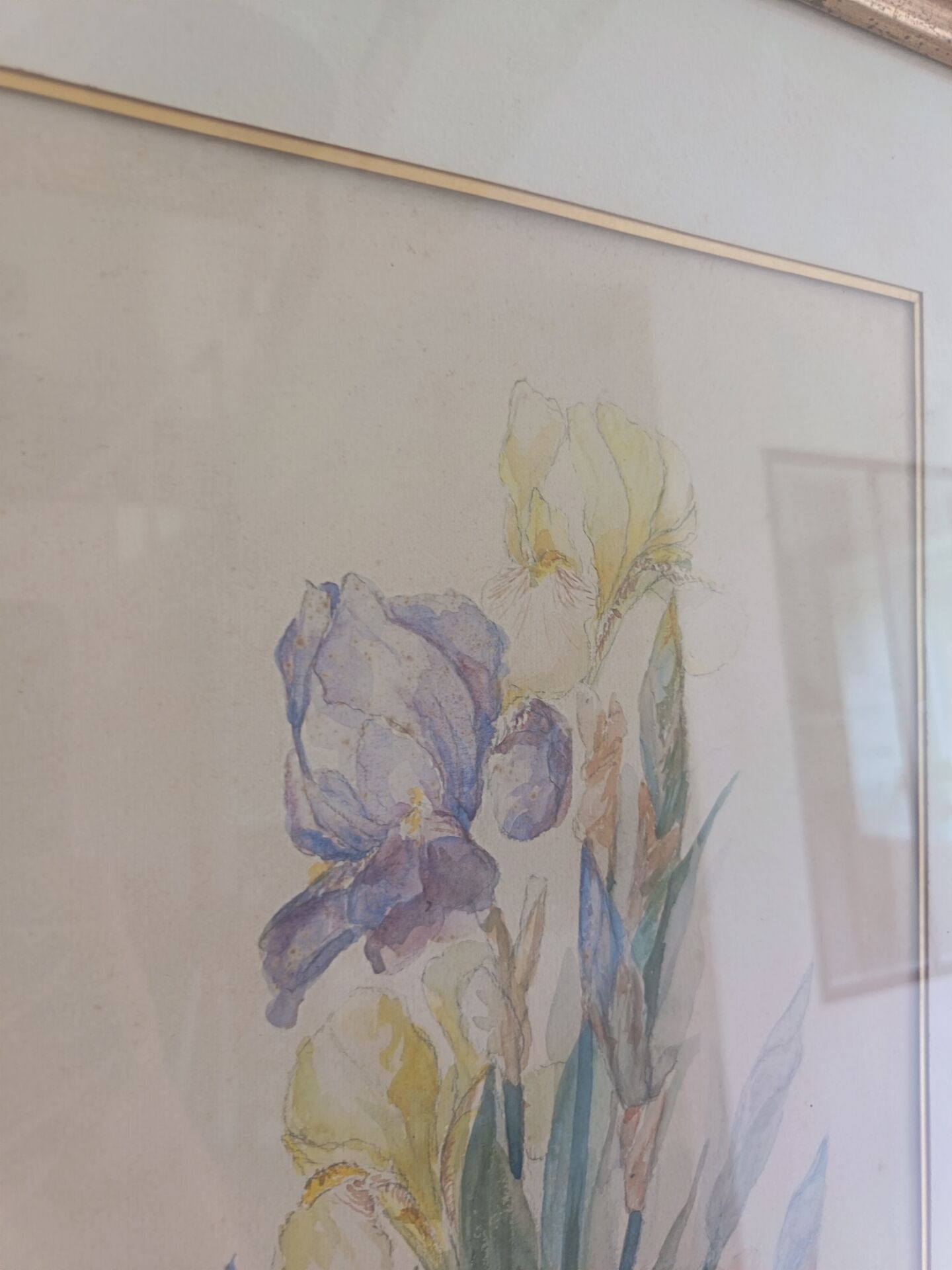 Painting of an iris