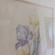 Painting of an iris