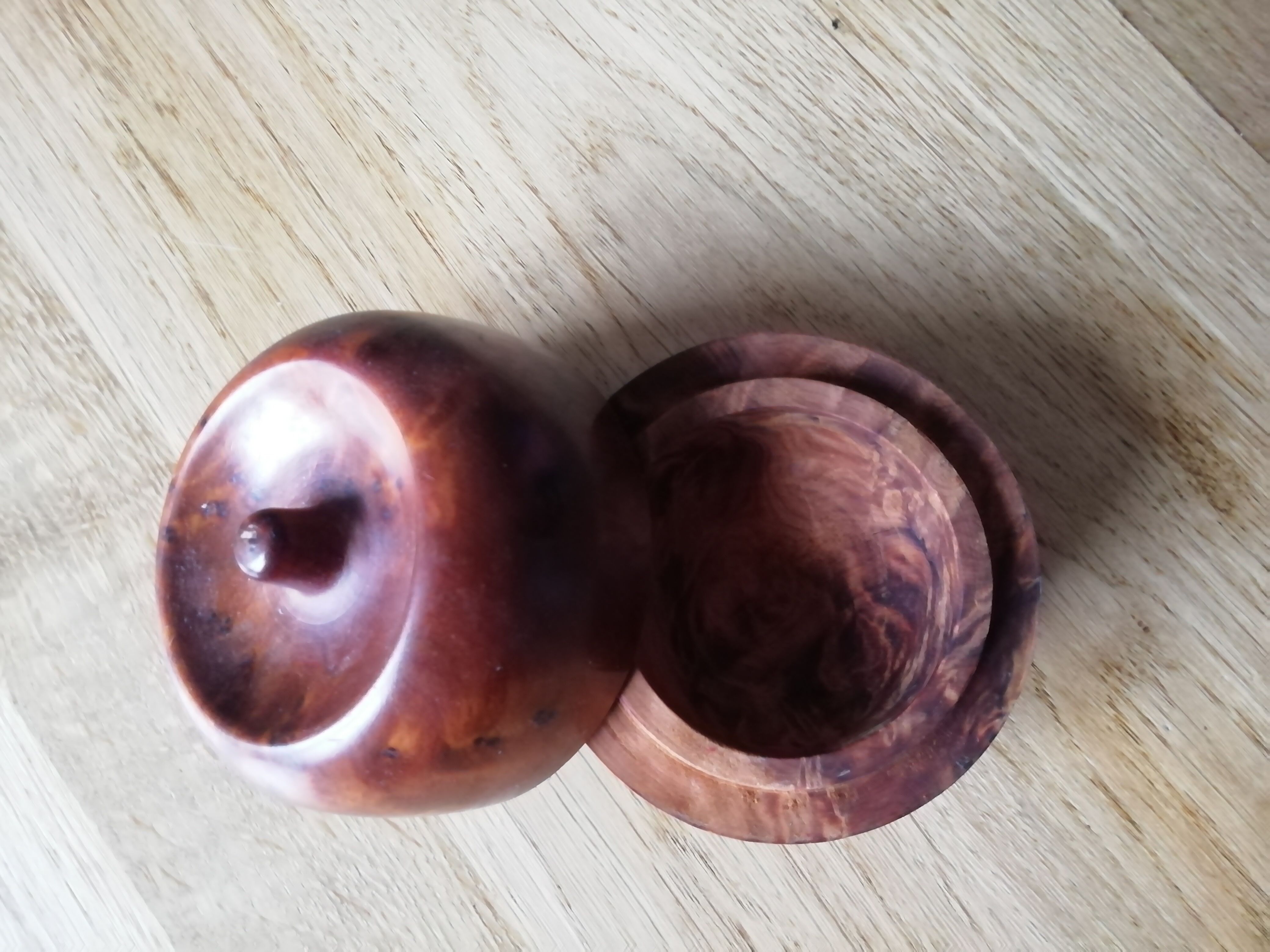 Apple box in thuya magnifying glass
