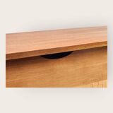 Mid Century shoe cabinet