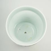 Antique Porcelain planter hand painted with mascarons with lion's head in relief-nineteenth century