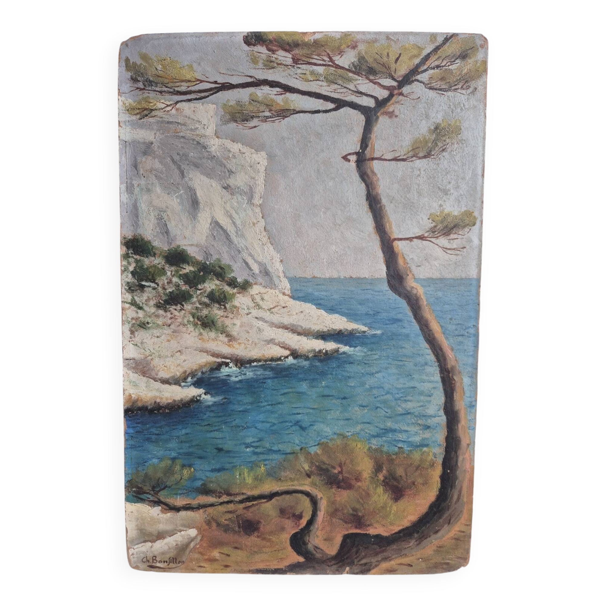 Coastal edge with leaning pine - Oil on cardboard