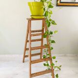 Double painter's stepladder