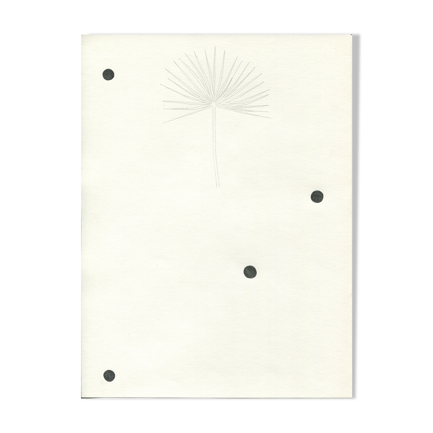 Palm - Original drawing