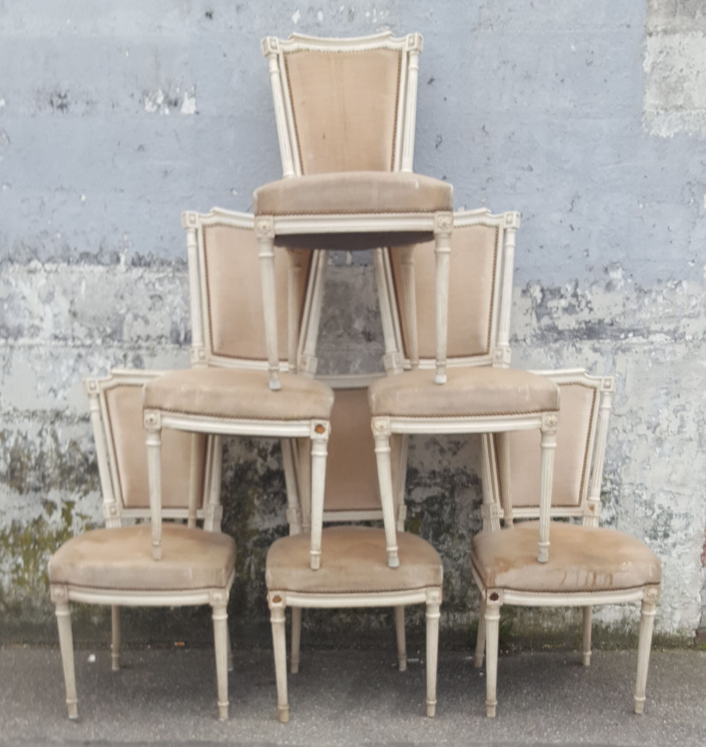 6 Louis XVI chairs