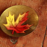 Empty pocket in enamel and copper