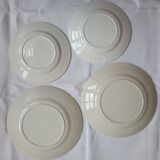 Set of four plates earth of iron