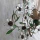 Pair of Italian Florentine wall sconces in tin and glass.