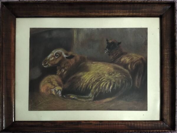 Tableau animalier, bergerie, moutons et agneau.