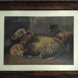 Animal painting, sheepfold, sheep and lamb.