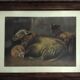 Animal painting, sheepfold, sheep and lamb.