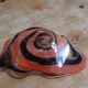 Empty pocket vintage Murano
