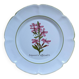 Pair of vintage Charolles plates hand-painted – Botanical decor