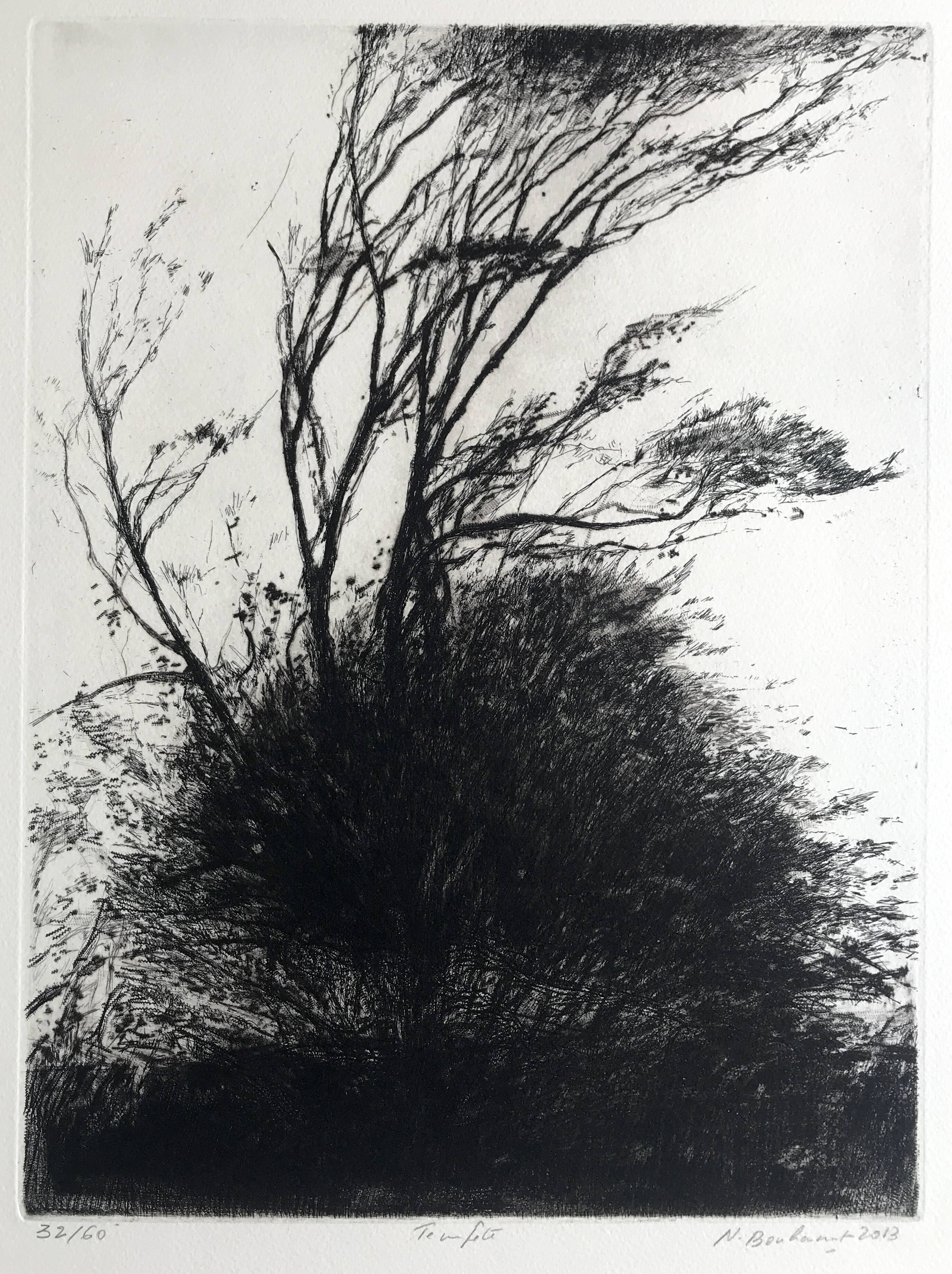 Nicole BOUHARMONT, Tempête, 2013. Original signed drypoint
