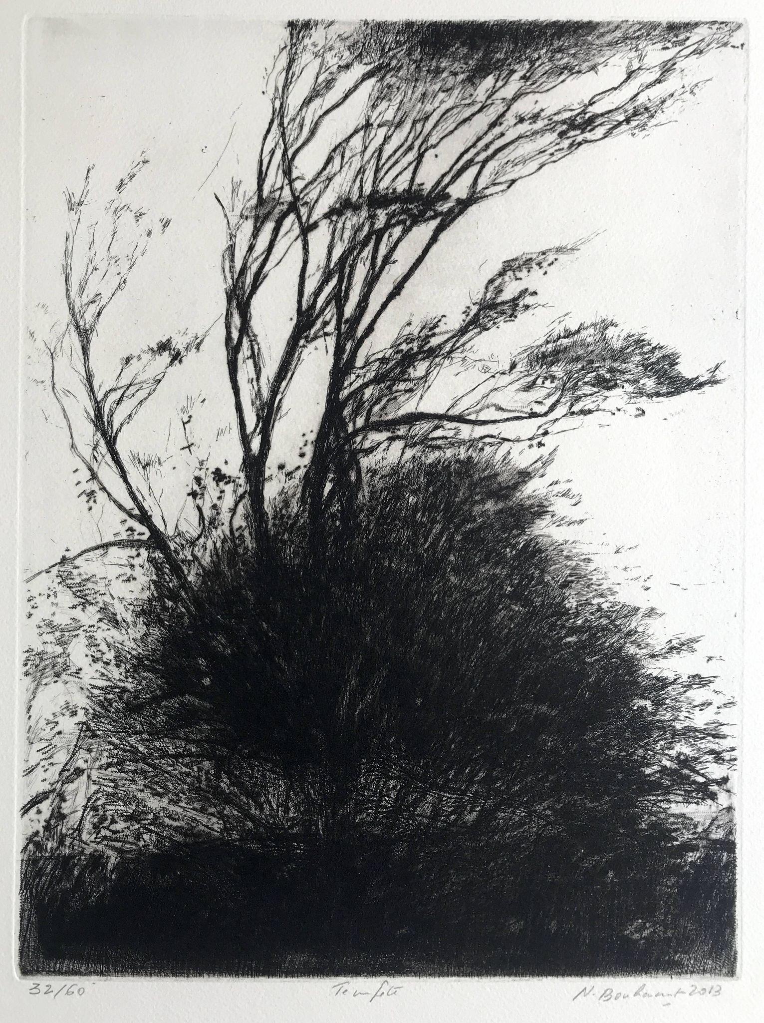 Nicole Bouharmont, tempête, 2013, pointe sèche originale signée