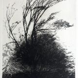 Nicole BOUHARMONT, Tempête, 2013. Original signed drypoint