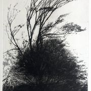 Nicole Bouharmont, tempête, 2013, pointe sèche originale signée