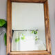 Large 19th century wall mirror in solid wood (available)