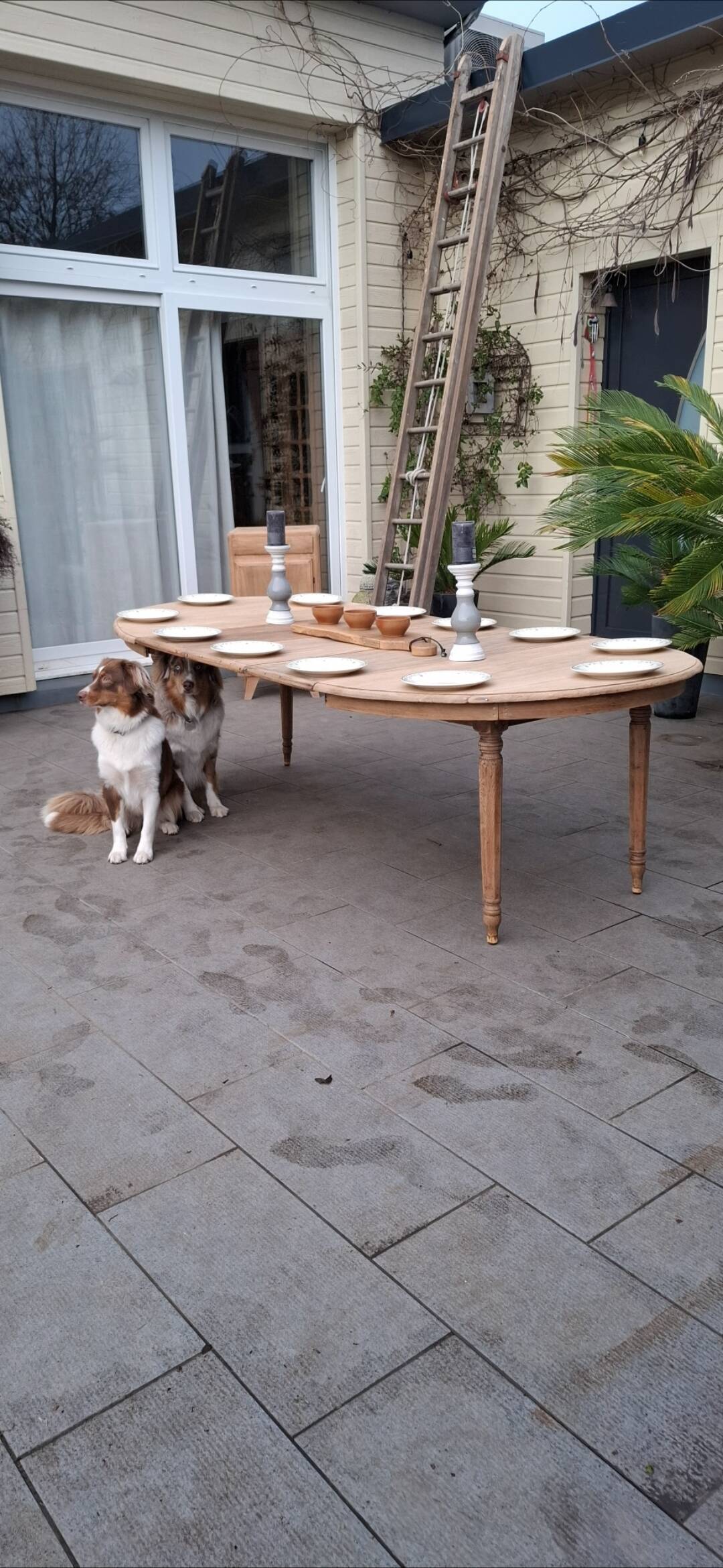 Oval table +3 extensions