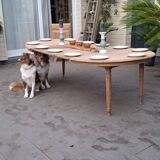 Oval table +3 extensions