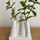 Vase pique flower with matte whitened pipe