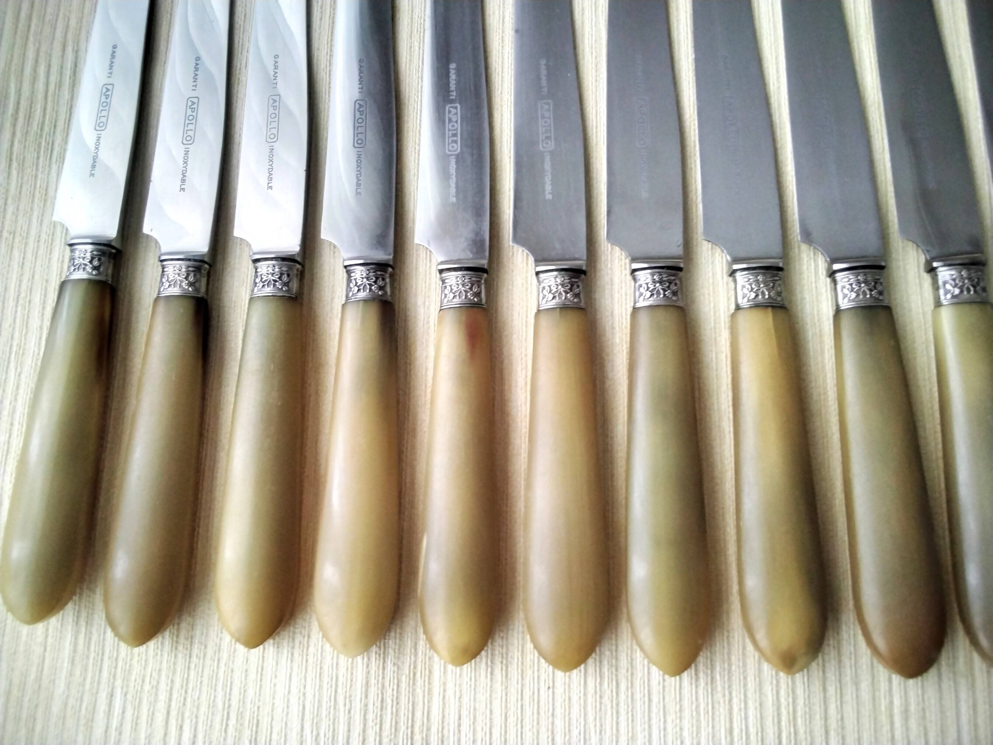 11 Apollo bovine horn and stainless steel table knives