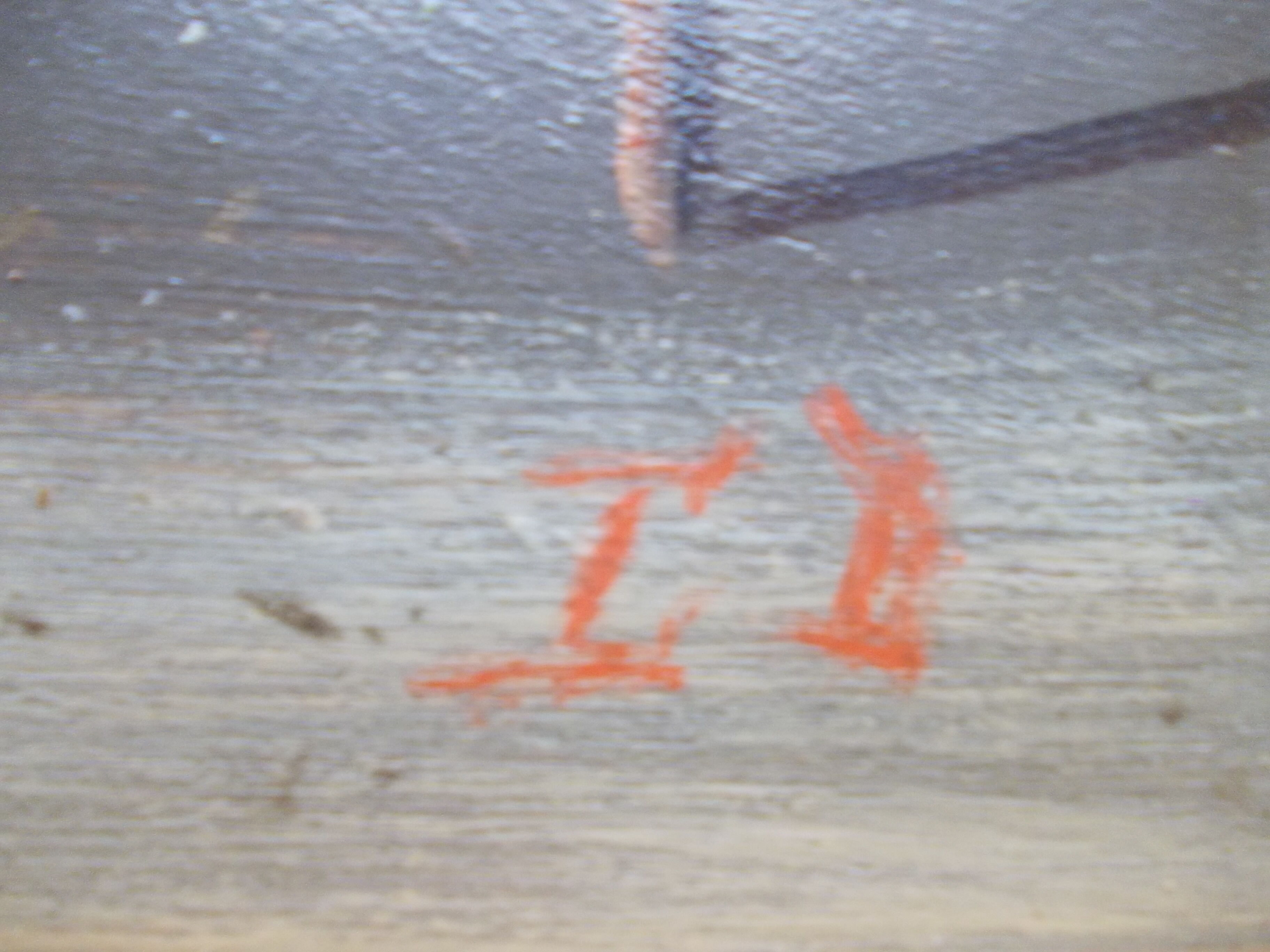 PAINTING oil painted on wood BOUQUET OF ROSES signed C.P., pretty frame ARTEMIS 1975, still life, CP