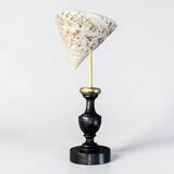 Nacre cone shell Troca on a turned black wooden base, late 19th century.