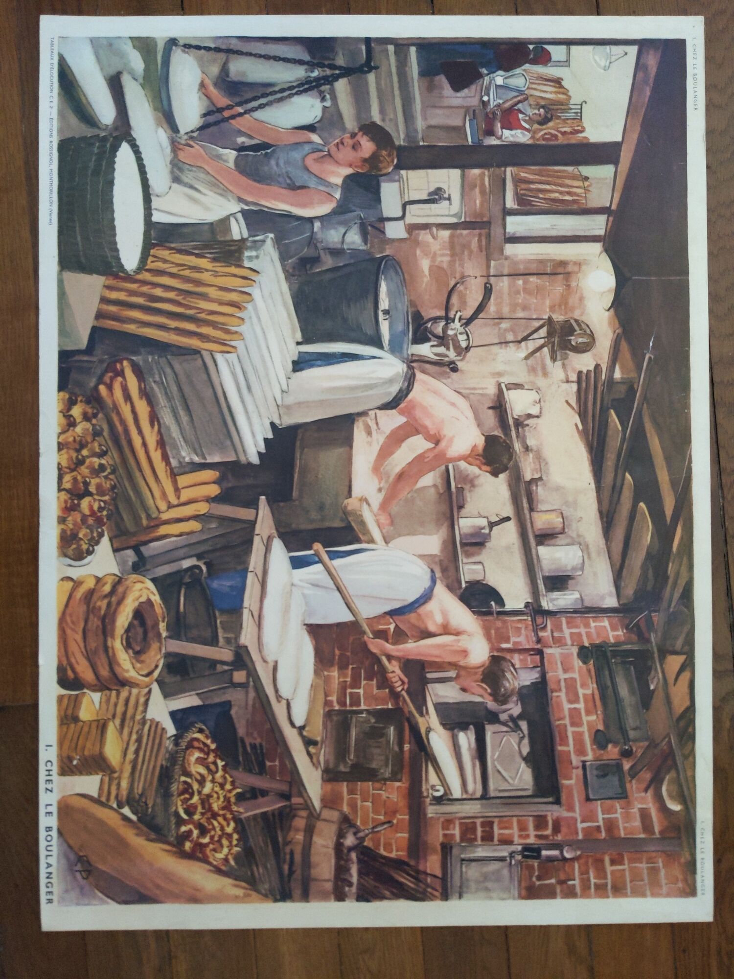 Vintage school poster nightingale 60s