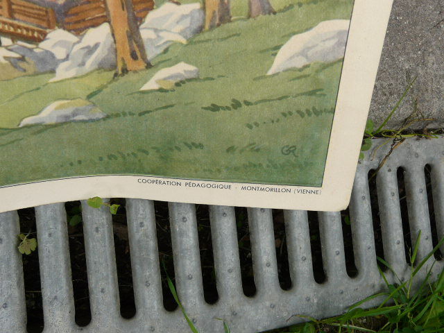 School poster Rossignol collection 50s, N° 33 and 34 the lake and the coast with cliff
